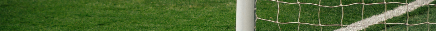 Full-Size Soccer Goal Buying Guide (12x6 vs. 24x8)