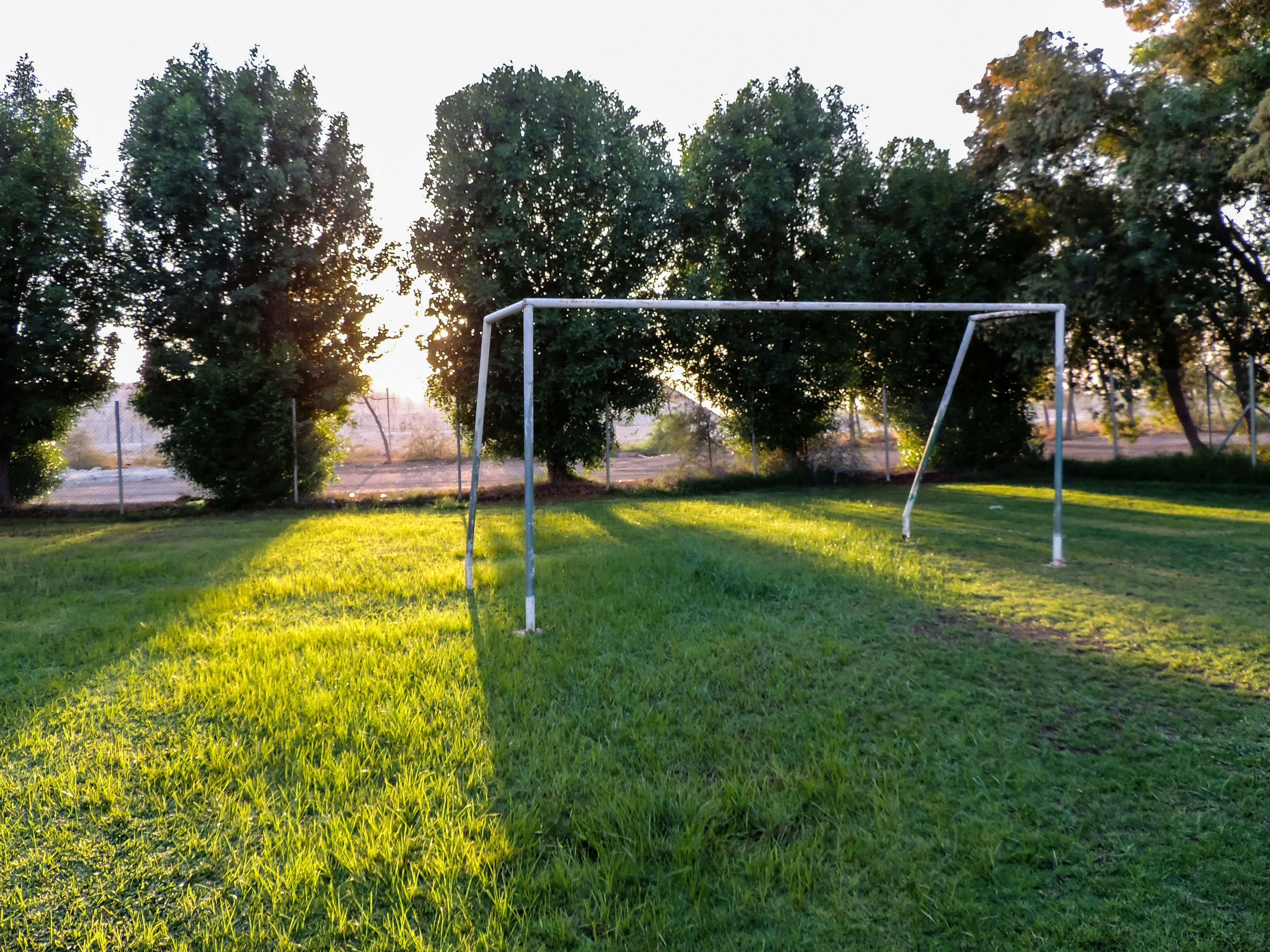 What Are the Best Soccer Goals for Backyards?