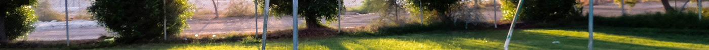 What Are the Best Soccer Goals for Backyards?